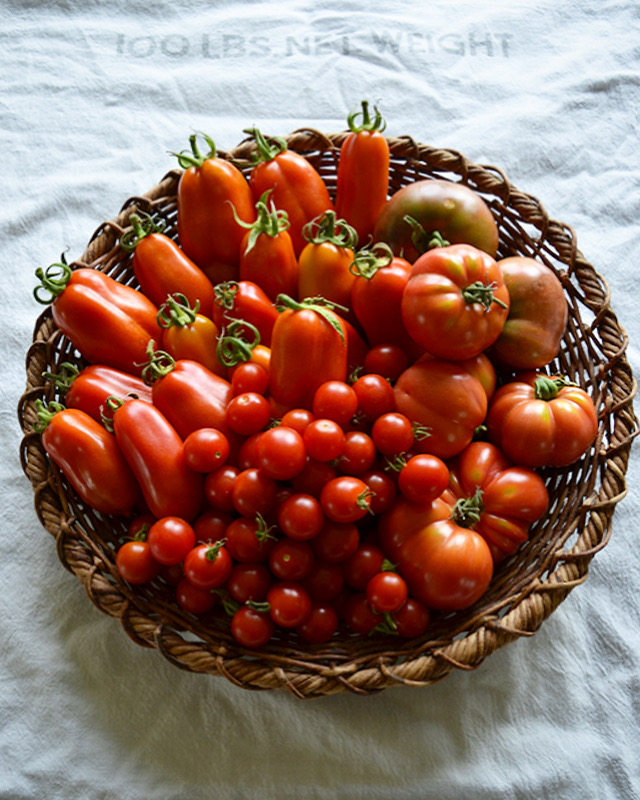 The Global History of the Tomato: From the Andes to Provence—and